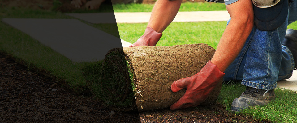 Swannanoa Landscapers